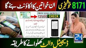 بینظیر انکم سپورٹ ڈیجیٹل والٹ